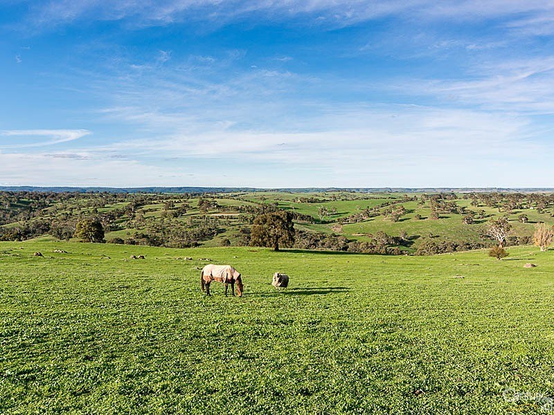 157 Ironstone Range Road, Dawesley SA 5252