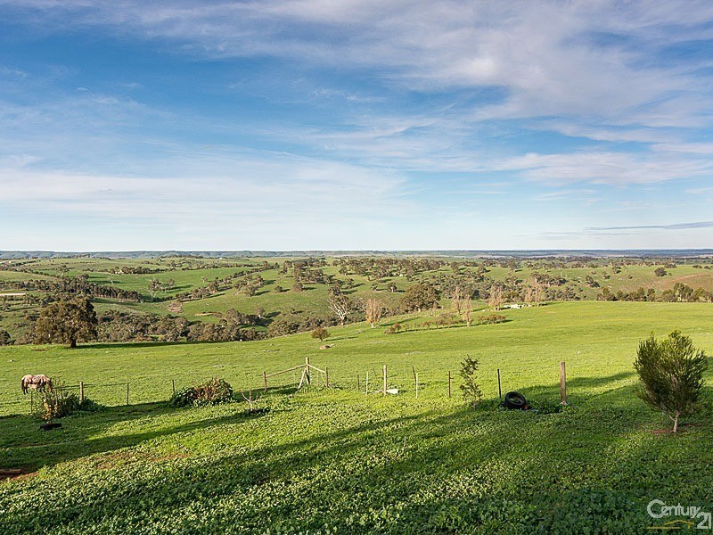 157 Ironstone Range Road, Dawesley SA 5252