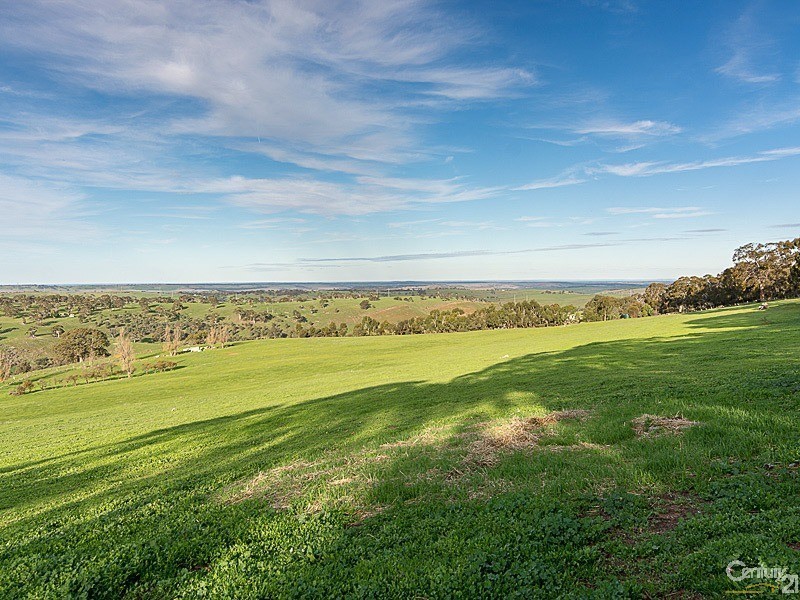 157 Ironstone Range Road, Dawesley SA 5252