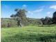 542 Springs Road, Mount Barker Springs SA 5251