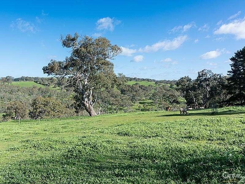 542 Springs Road, Mount Barker Springs SA 5251
