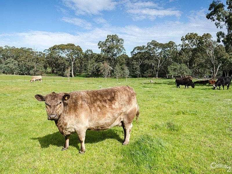 22 Braendler Road, Echunga SA 5153