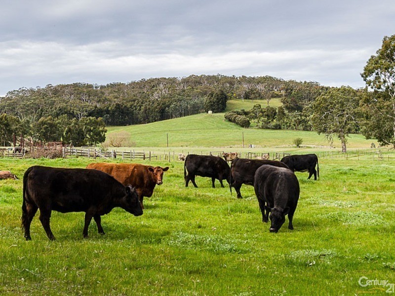 22 Braendler Road, Echunga SA 5153