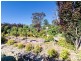 261 Wellington Road, Mount Barker SA 5251