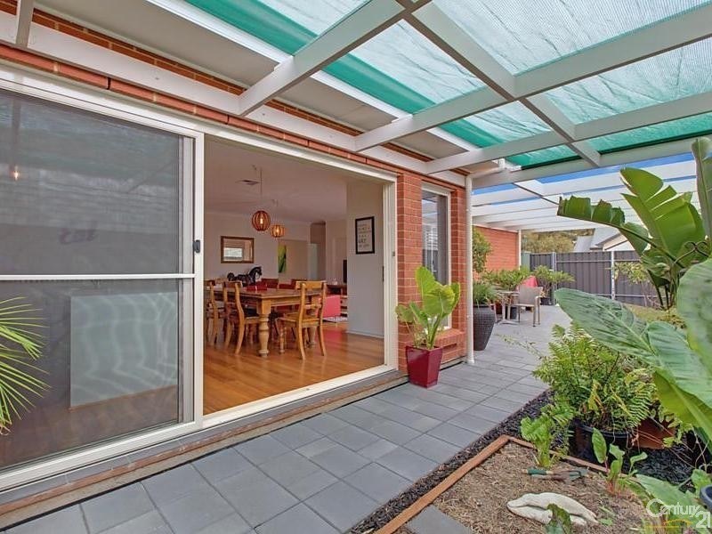 31 Stradbroke Avenue, Plympton Park SA 5038