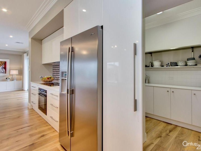 66 Repton Road, Somerton Park SA 5044