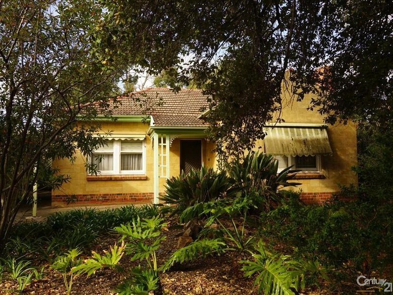 31 Australian Avenue, Clovelly Park SA 5042