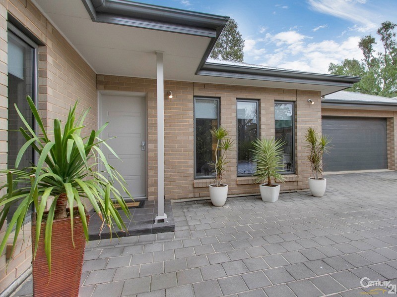 20A Renown Avenue, Clovelly Park SA 5042