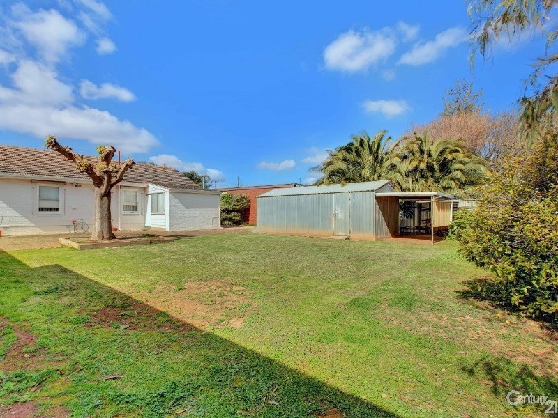 20 Fulton Street, Brighton SA 5048