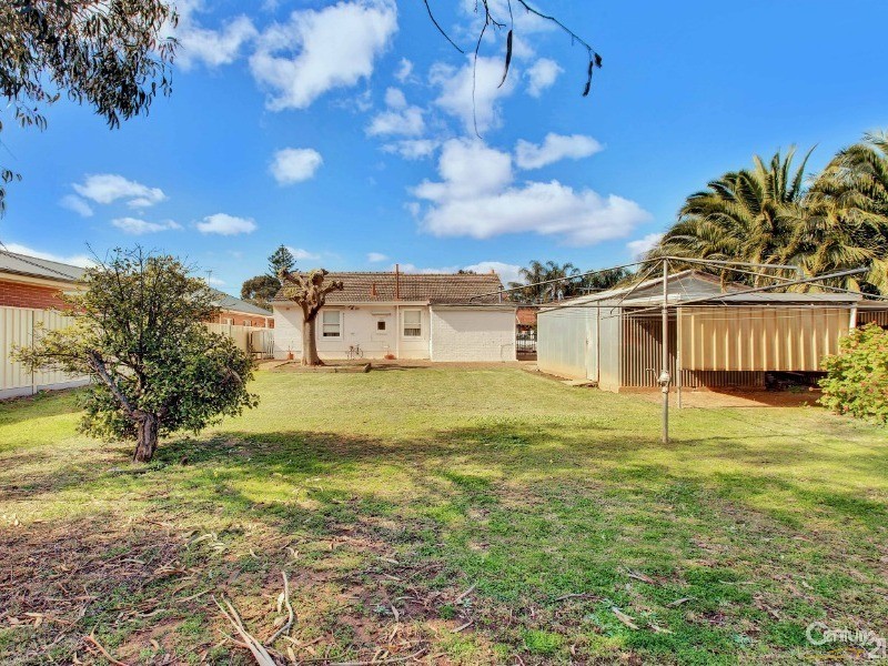 20 Fulton Street, Brighton SA 5048