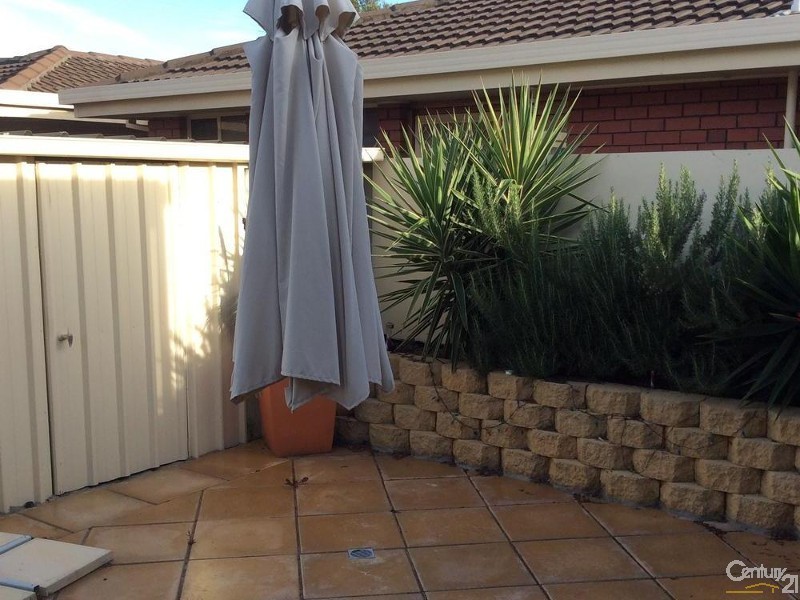 29 Creslin Tce, Camden Park SA 5038