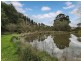 1353B Lobethal Road, Forest Range SA 5139