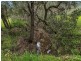 1353B Lobethal Road, Forest Range SA 5139