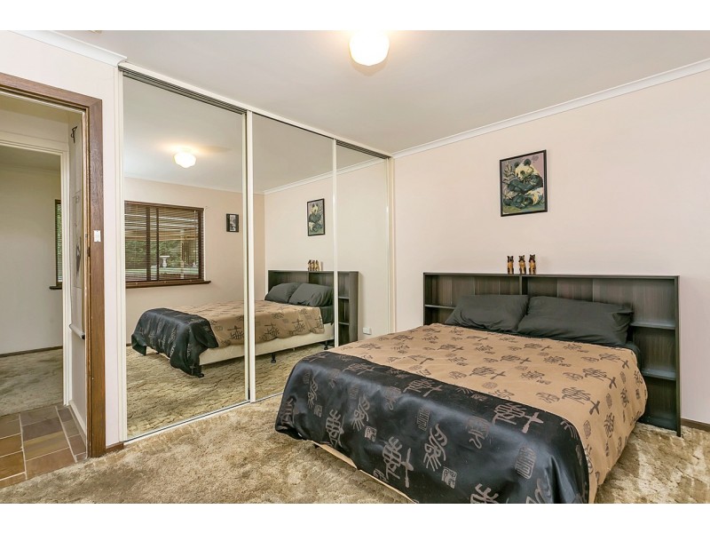 24 Pine Drive, Aberfoyle Park SA 5159