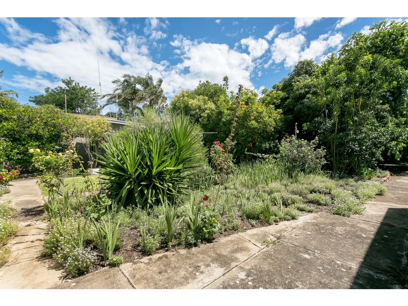 10 Albert Street, Glenelg East SA 5045