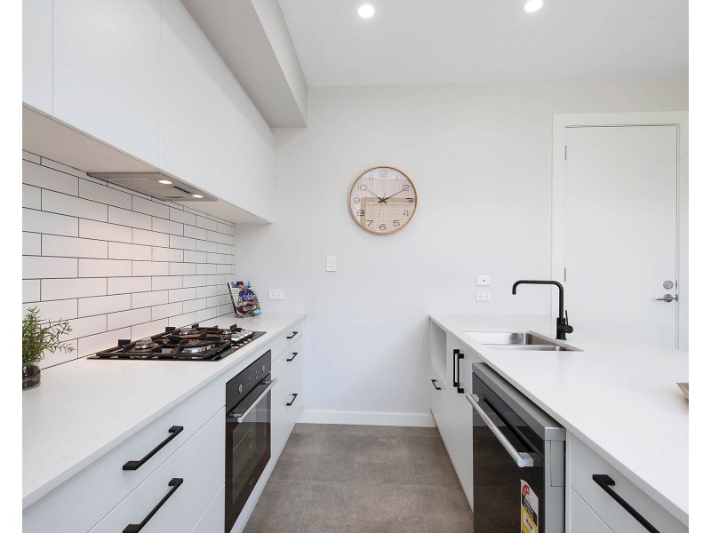 4 Shearing Street, Oaklands Park SA 5046