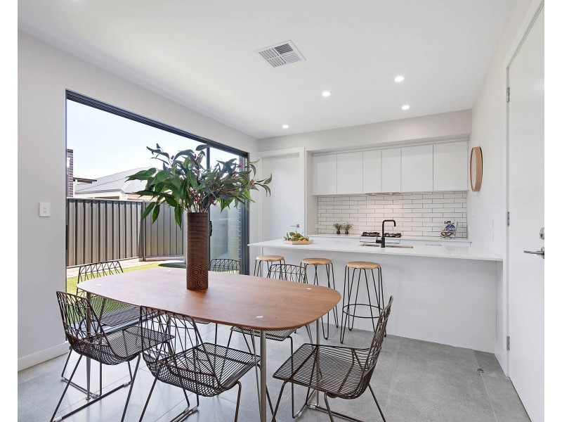 4 Shearing Street, Oaklands Park SA 5046