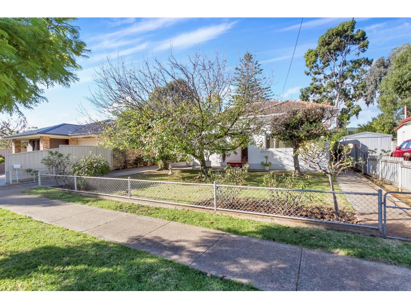 11 Carter Street, Magill SA 5072