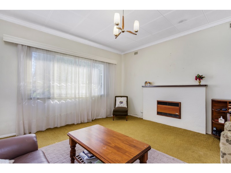 11 Carter Street, Magill SA 5072