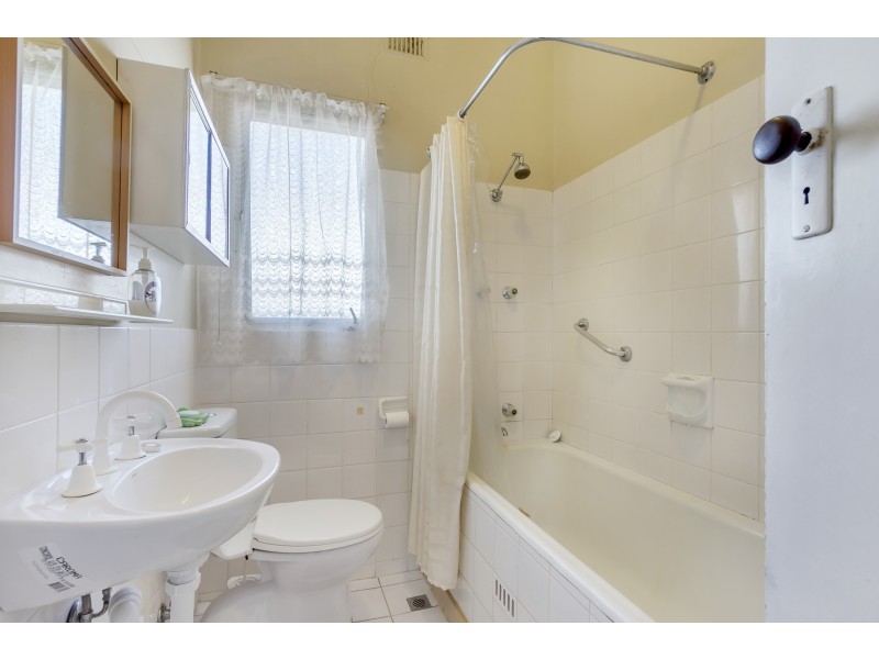 11 Carter Street, Magill SA 5072