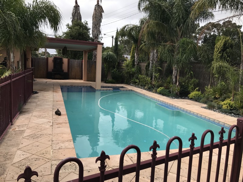 10 Heathcote Street, Marion SA 5043