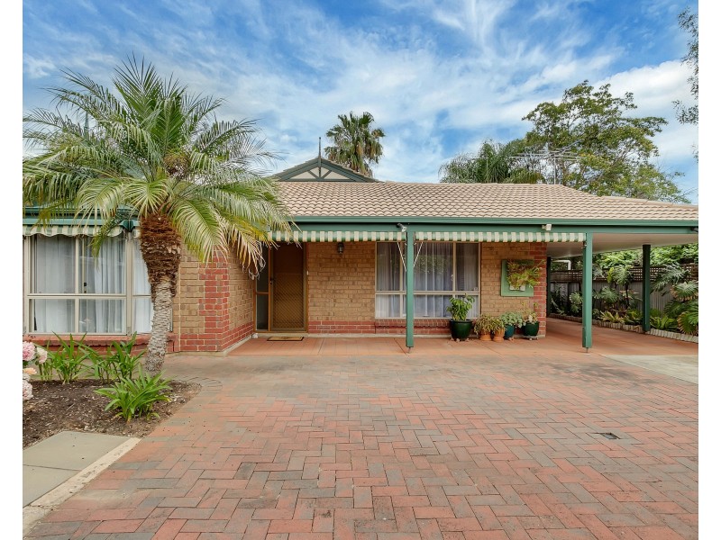 6a Winton Avenue, Hove SA 5048