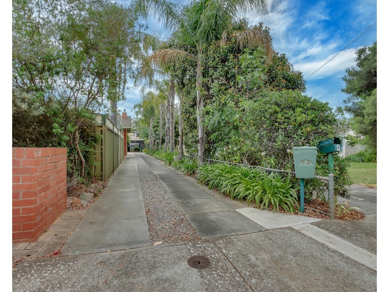 6a Winton Avenue, Hove SA 5048