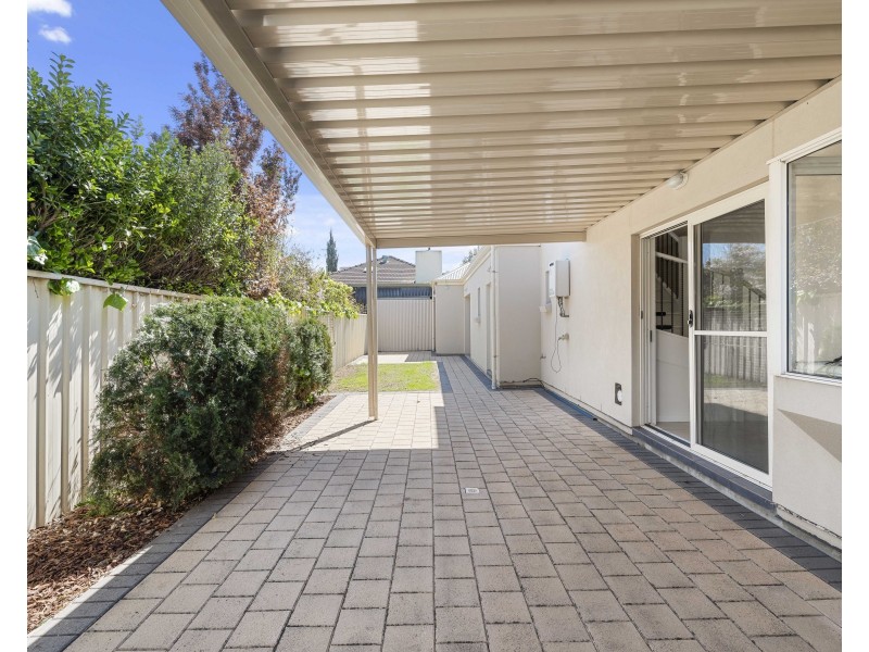 19 Ascot Avenue, Vale Park SA 5081