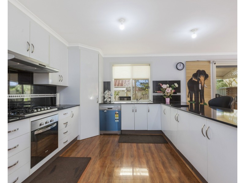 16 Aldridge Terrace, Marleston SA 5033