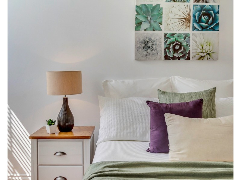 14 Peterson Street, Somerton Park SA 5044