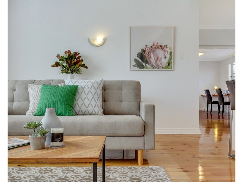 14 Peterson Street, Somerton Park SA 5044