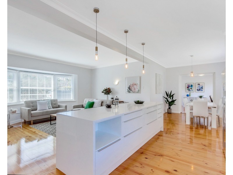 14 Peterson Street, Somerton Park SA 5044