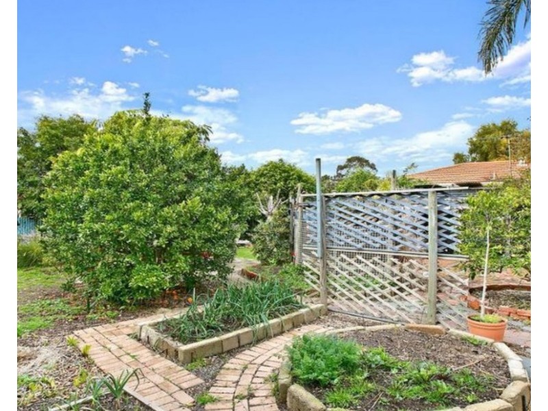 49 Limbert Avenue, Seacombe Gardens SA 5047