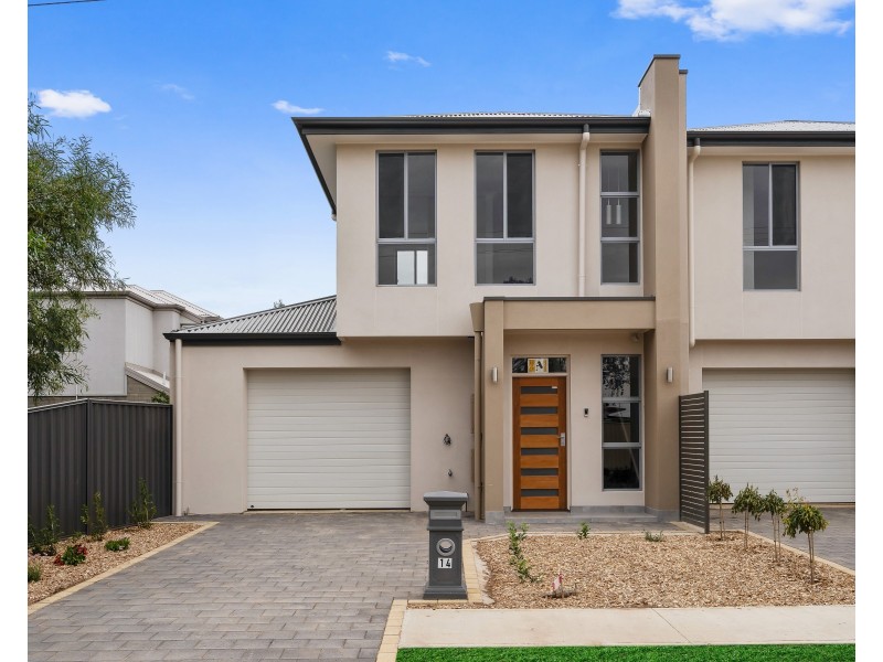 14 Rathlin Avenue, Marion SA 5043