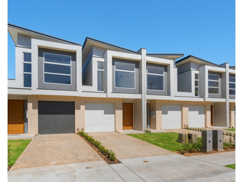 14 Hallett Avenue, Tranmere SA 5073