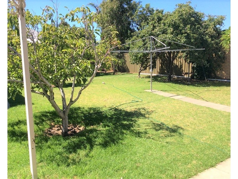 37 Honeyton Street, Seaton SA 5023