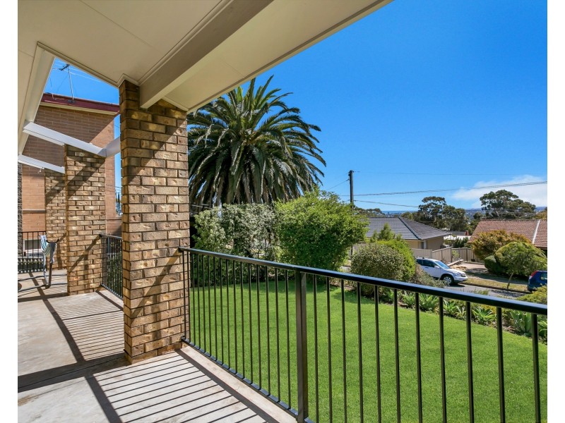 23 Morgan Avenue, Seaview Downs SA 5049