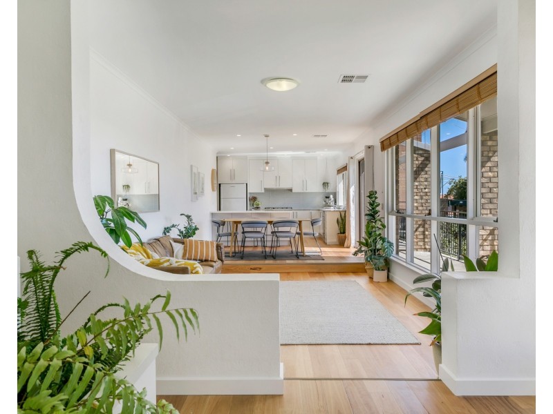 23 Morgan Avenue, Seaview Downs SA 5049