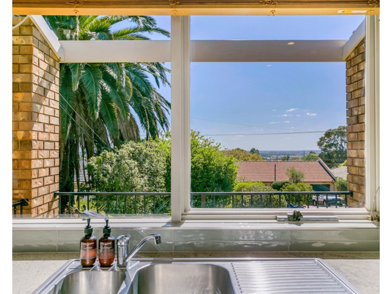 23 Morgan Avenue, Seaview Downs SA 5049