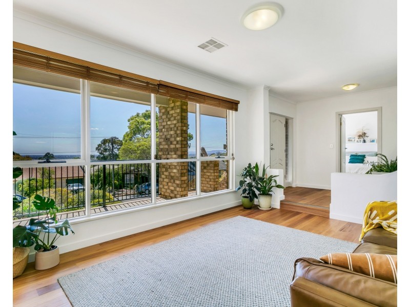 23 Morgan Avenue, Seaview Downs SA 5049