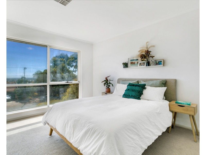 23 Morgan Avenue, Seaview Downs SA 5049