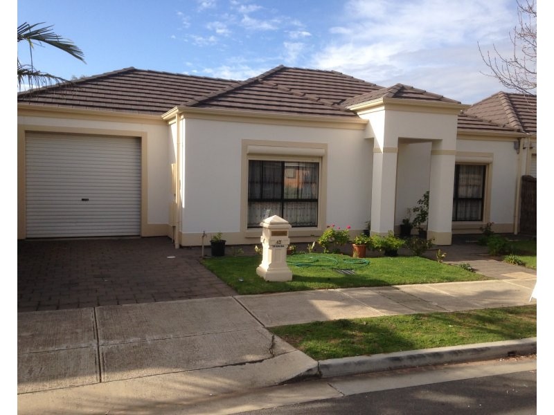 43 Shelley Avenue, Netley SA 5037