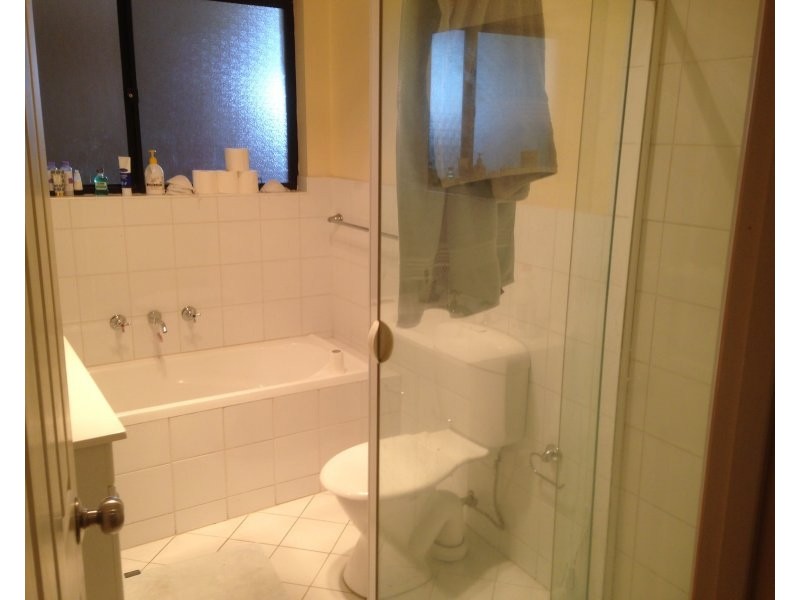 43 Shelley Avenue, Netley SA 5037