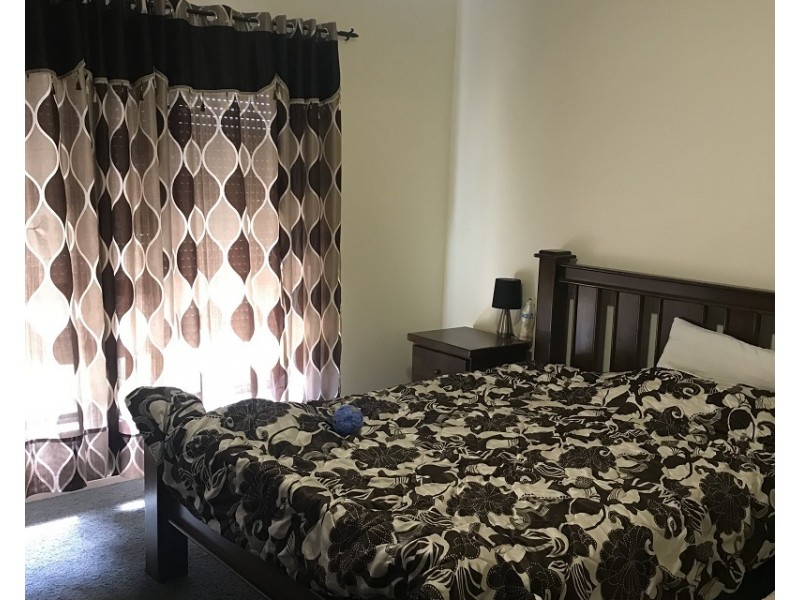 43 Shelley Avenue, Netley SA 5037