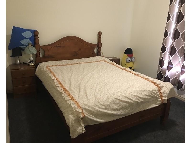 43 Shelley Avenue, Netley SA 5037