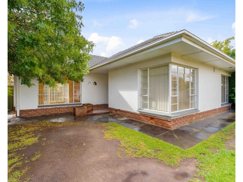 59 Woodlands Terrace, Edwardstown SA 5039
