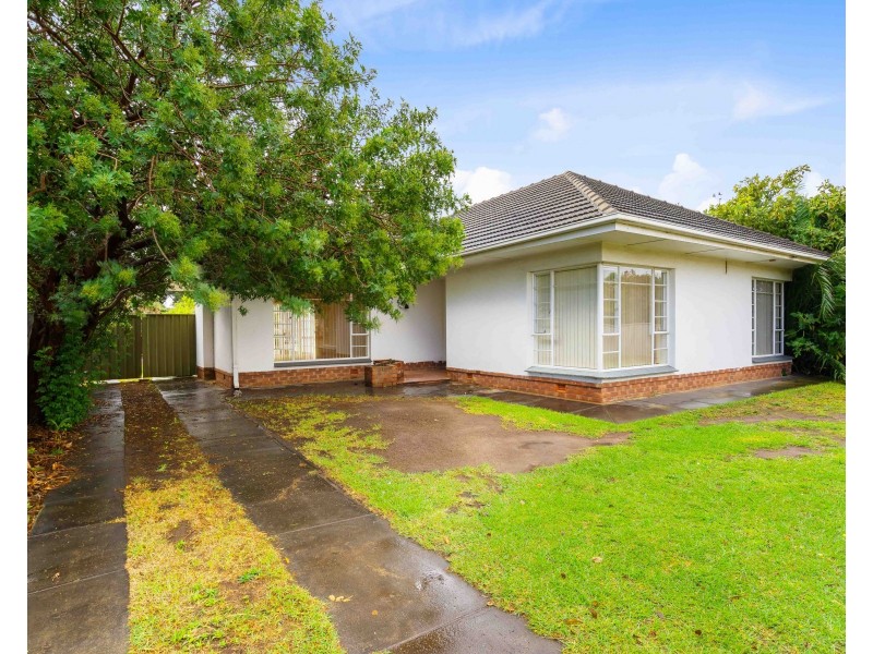 59 Woodlands Terrace, Edwardstown SA 5039