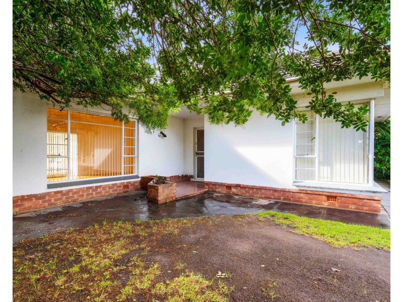 59 Woodlands Terrace, Edwardstown SA 5039