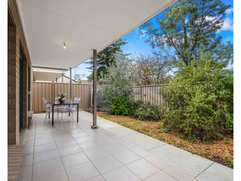 3/13 Wilton Terrace, Torrensville SA 5031