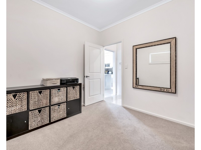 36 Trowbridge Avenue, Mitchell Park SA 5043